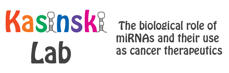 Kasinski Lab: the biological role of miRNAs and their use as cancer therapeutics.